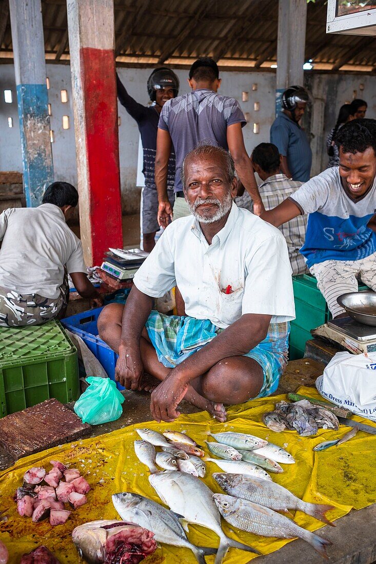 Sri Lanka, Northern province, Jaffna peninsula, Point Pedro is a town located at the northernmost point of the island, fish market