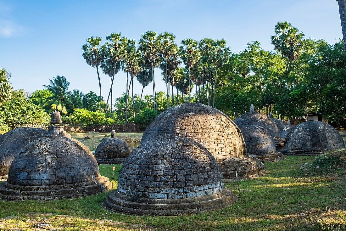 Sri Lanka, Northern province, Jaffna, Kantharodai archaeological site, remains of former Kadurugoda Buddhist temple