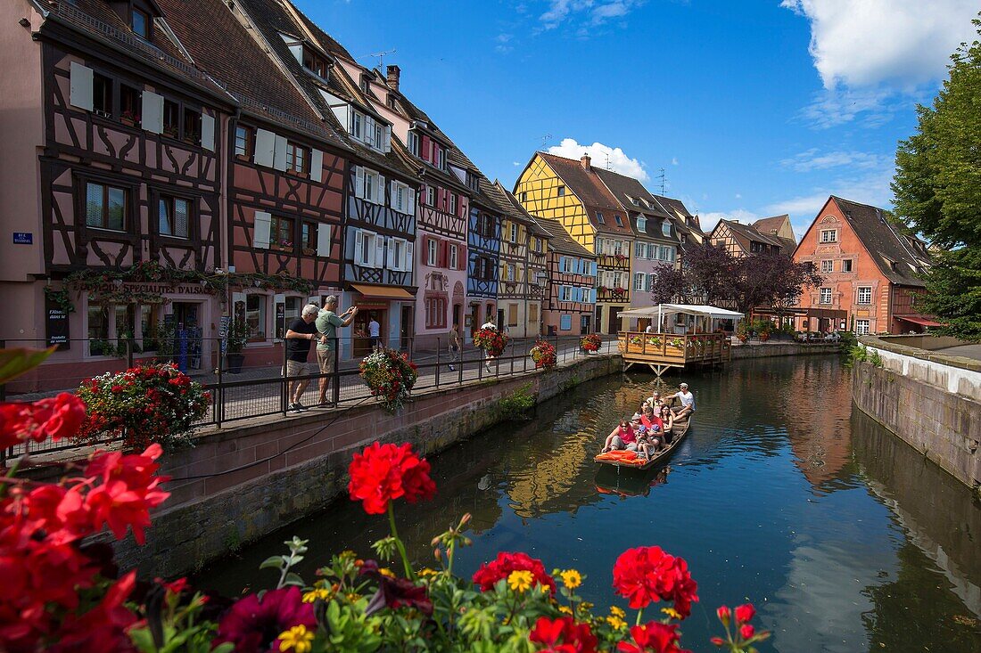 France, Haut Rhin, Colmar, Little Venice in Colmar, view of the Lauch (river) from the bridge of the rue des Ecoles