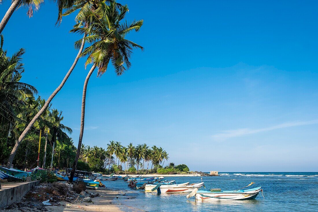 Sri Lanka, Ostprovinz, Trincomalee (oder Trinquemalay), Fischerdorf Sampalthivu