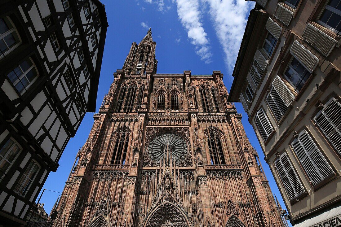 France, Bas Rhin, Strasbourg, The facade of Notre Dame Cathedral at sunset