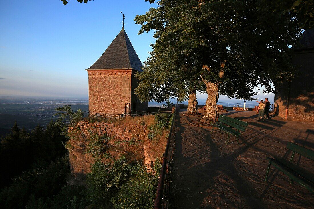 France, Bas Rhin, Ottrott, Mont Saint Odile, Mont Sainte Odile is a Vosges mountain, culminating at 764 meters above sea level, It is surmounted by the Hohenbourg Abbey, a convent overlooking the plain of Alsace