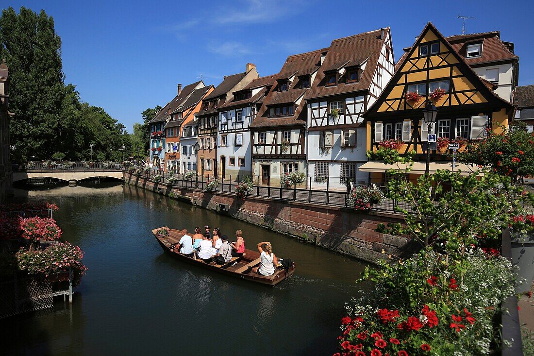 France, Haut Rhin, Colmar, Little Venice in Colmar, view of the Lauch (river) from the bridge of the rue des Ecoles