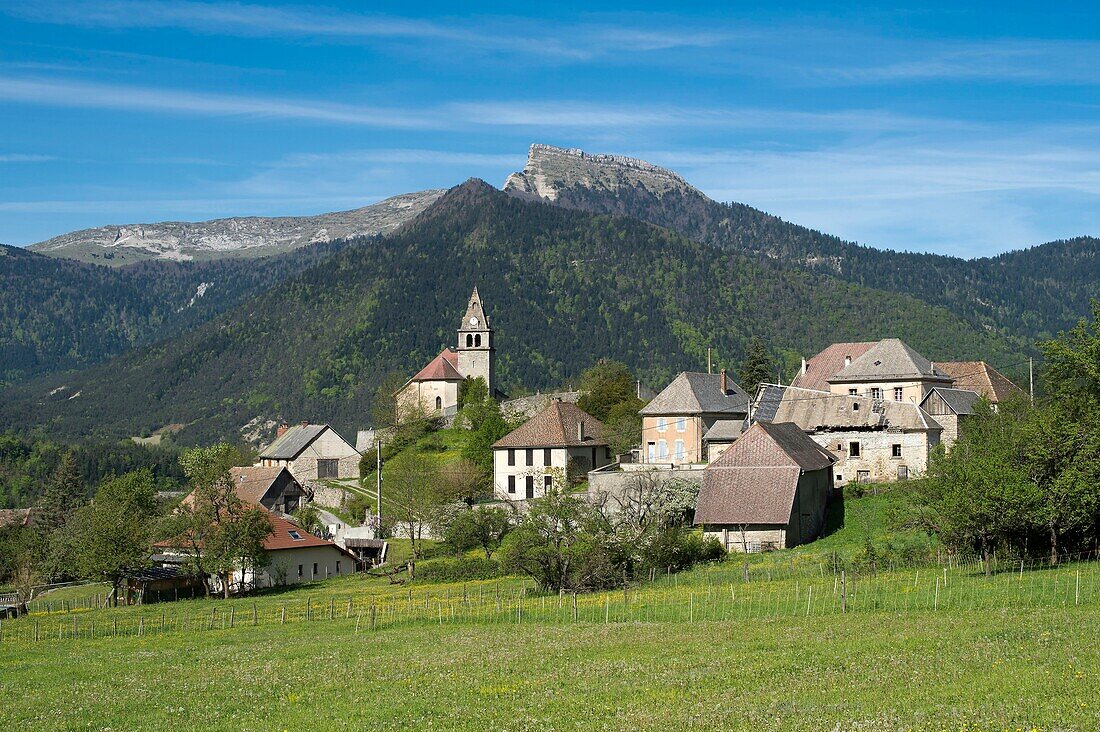 France, Isere, Trieves, the village of Treminis and the Pointe de Feuillette (1881m)