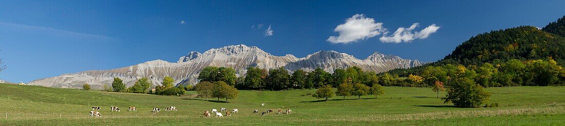 France, Isere, Trieves, panoramic view of the chapel and the Obiou massif (2790m)