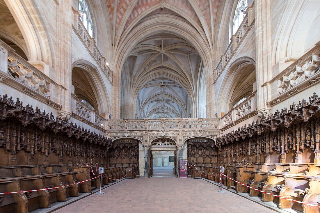 France, Ain, Bourg en Bresse, Royal Monastery of Brou restored in 2018, church of Saint Nicolas de Tolentino, masterpiece of flamboyant Gothic, in the choir of oak stalls by Pierre Berchod