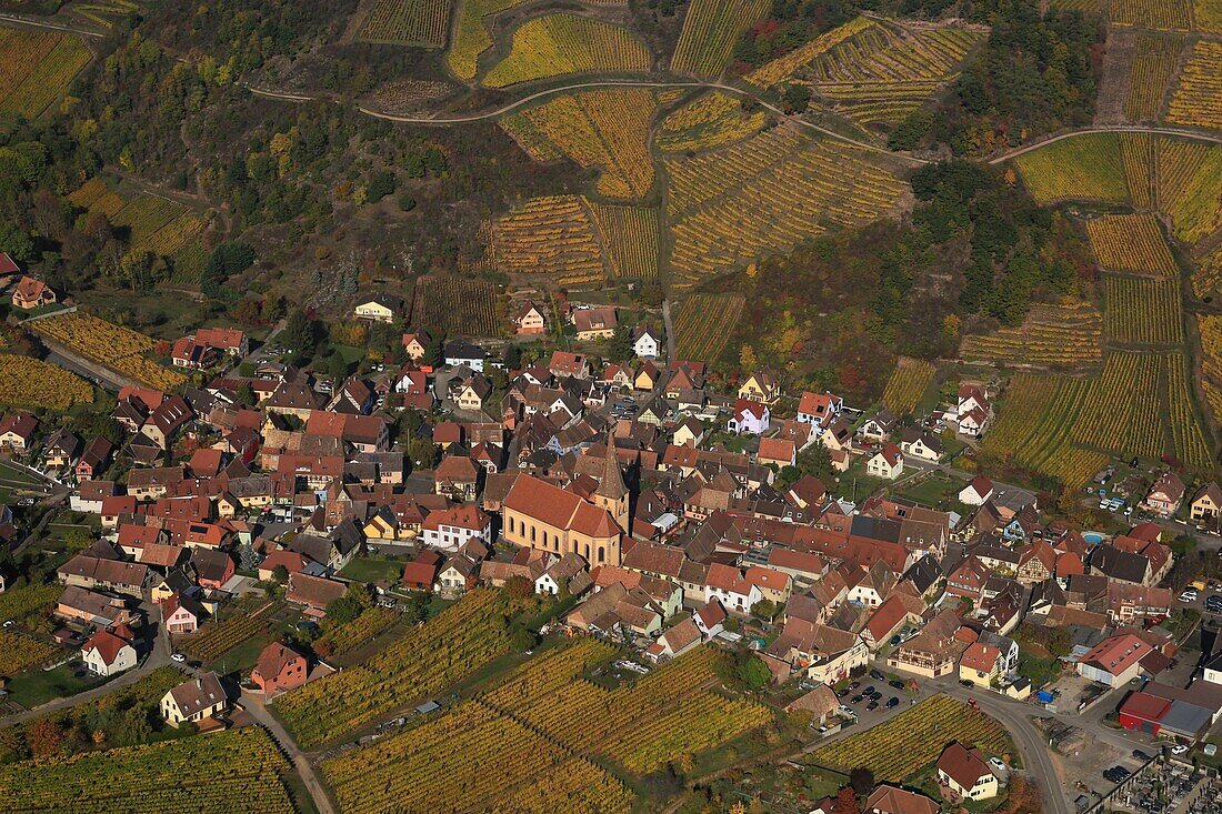 France, Haut Rhin, Niedermorschwihr, Route des Vins d'Alsace, Niedermorschwihr vineyard (aerial view)