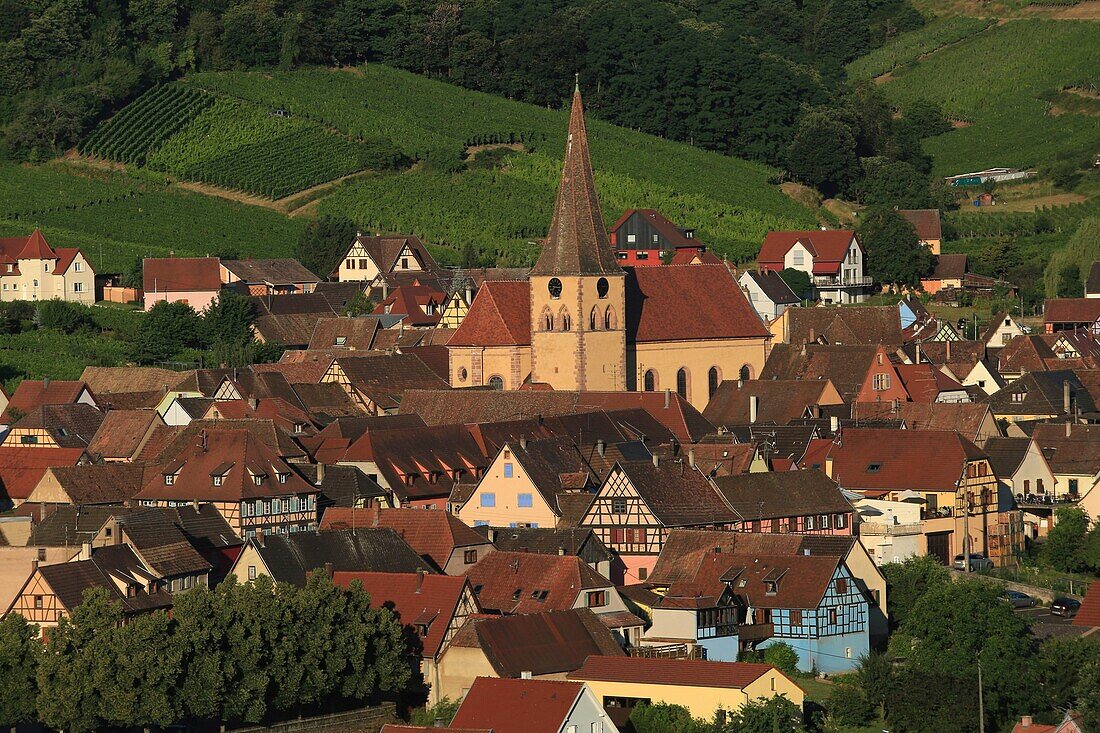 France, Haut Rhin, Route des Vins d'Alsace, Ammerschwihr, general view of the vineyards and the village