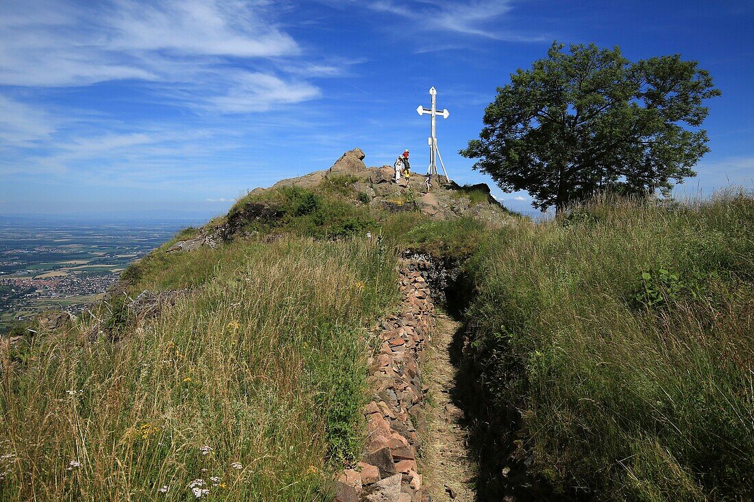 Frankreich, Haut Rhin, Hautes Vosges, Der Aussichtsfelsen mit dem Kreuz der Freiwilligen, Der Hartmannswillerkopf, nach dem Ersten Weltkrieg in Vieil Armand umbenannt, ist ein pyramidenförmiger Felsvorsprung in den Vogesen, der die Ebene des Elsass Haut Rhin überragt, über 956 Meter