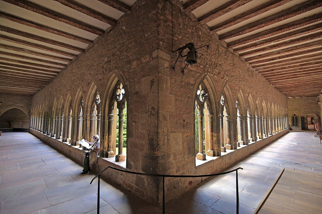 France, Haut Rhin, Colmar, former convent, Unterlinden museum, cloister