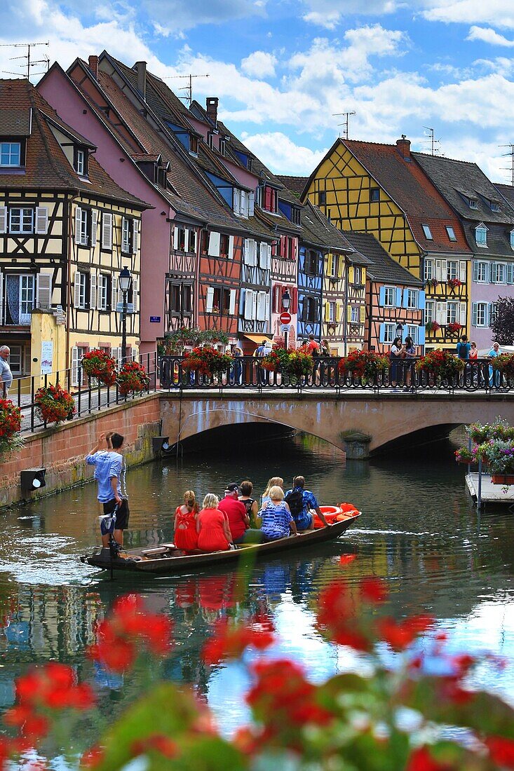 France, Haut Rhin, Colmar, Little Venice in Colmar, view of the Lauch (river) from the bridge of the rue des Ecoles