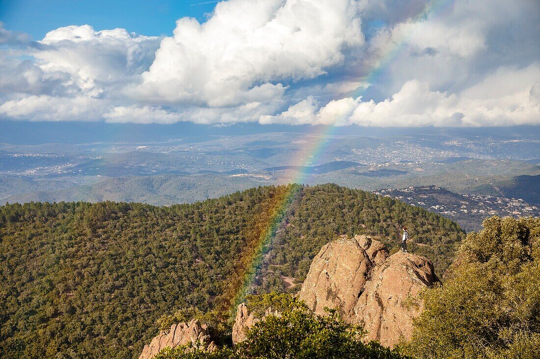 France, Var, Frejus, Esterel massif, point of view from the summit of the Mount Vinaigre (641 m)