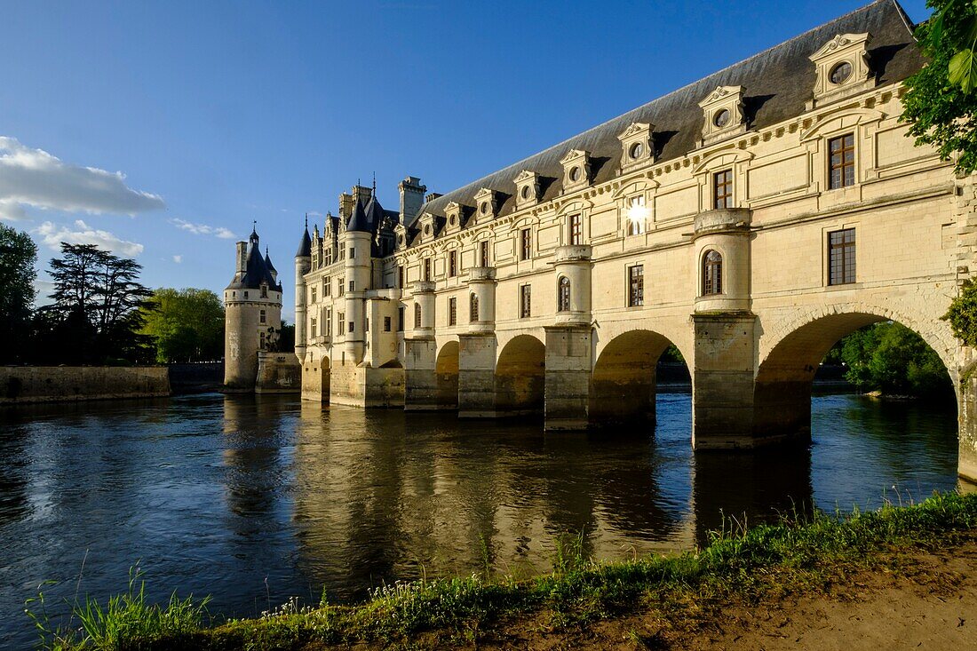 Frankreich, Indre et Loire, Loire-Tal, Schloss Chenonceau auf der Welterbeliste der UNESCO, erbaut zwischen 1513 und 1521 im Stil der Renaissance, über dem Fluss Cher