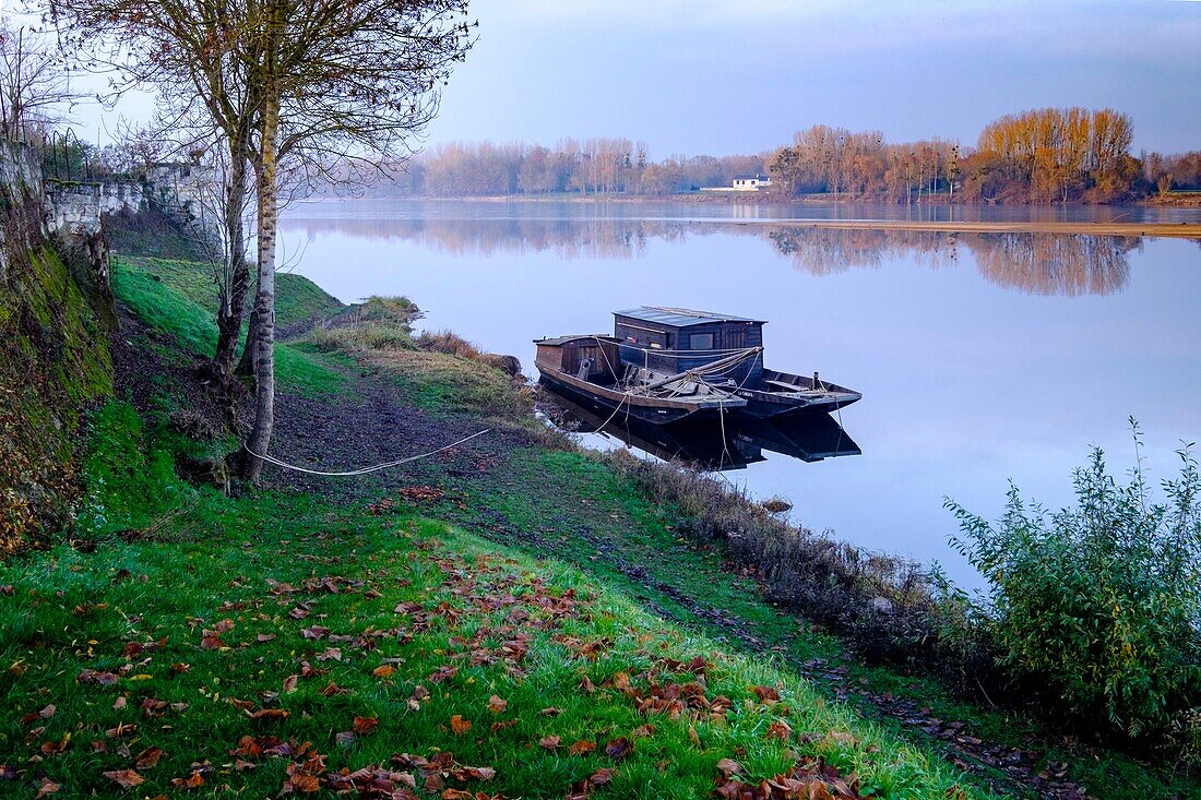 Frankreich, Indre et Loire, Loiretal auf der UNESCO-Liste des Welterbes, Candes Saint Martin, traditionelle Boote