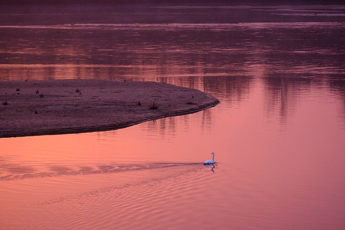 Frankreich, Indre et Loire, Loire-Tal, von der UNESCO zum Weltkulturerbe erklärt, die Ufer der Loire