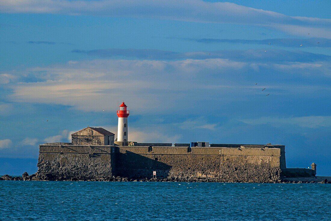 France, Herault, Agde, Cape of Agde, Brescou Fort