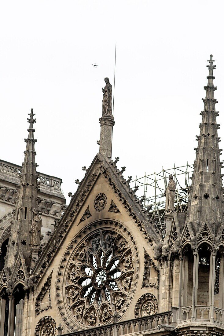 Frankreich, Paris, von der UNESCO zum Weltkulturerbe erklärtes Gebiet, Ile de la Cite, Kathedrale Notre Dame nach dem Brand vom 15. April 2019
