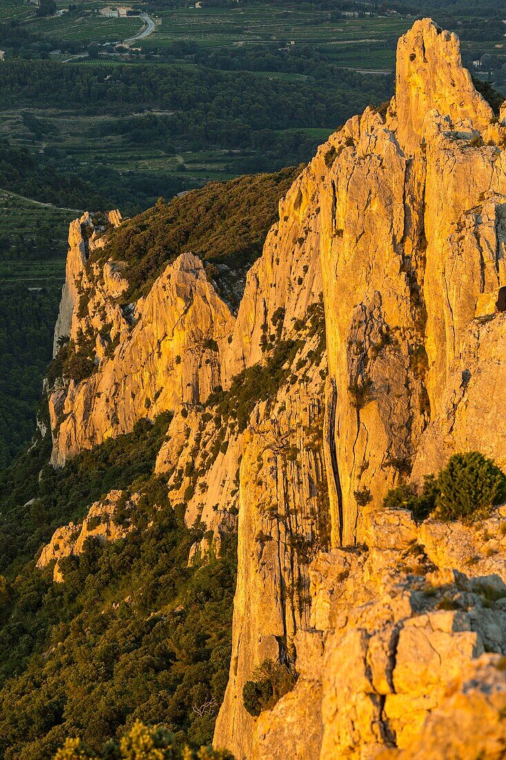 Frankreich, Vaucluse, oberhalb von Gigondas, Dentelles de Montmirail