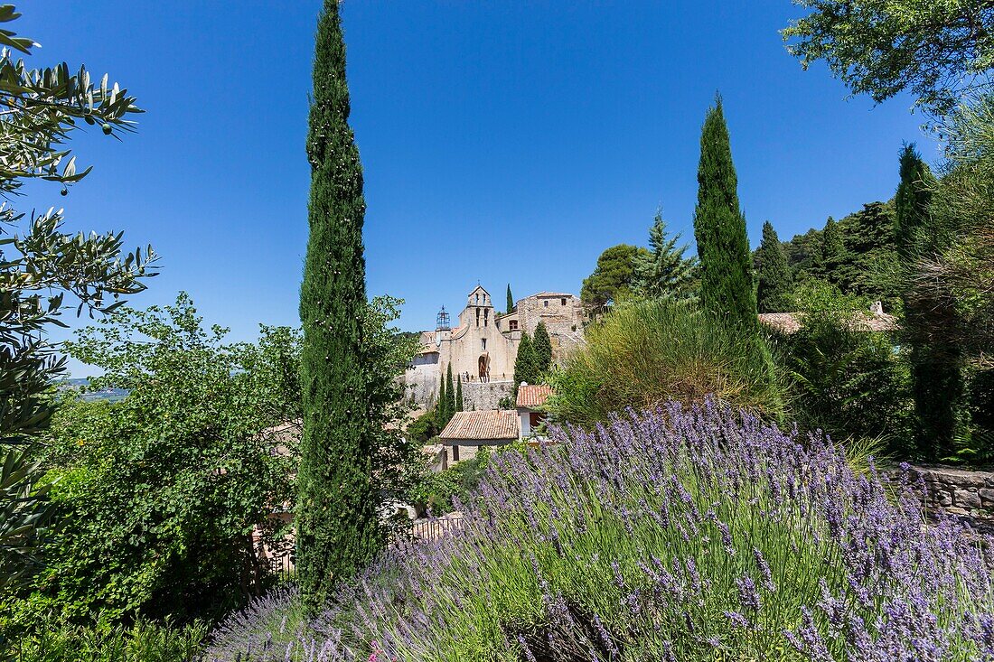 Frankreich, Vaucluse, Dorf Gigondas