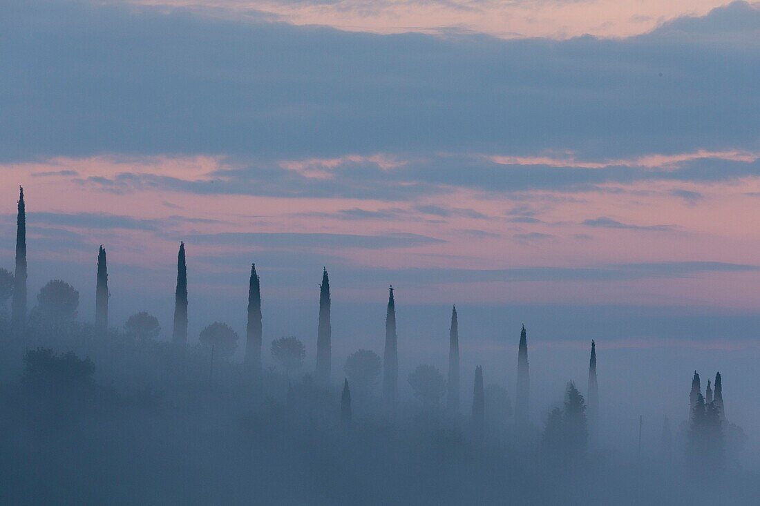 Italien, Toskana, Bezirk Siena, Orcia-Tal, von der UNESCO zum Weltkulturerbe erklärt, Hügel