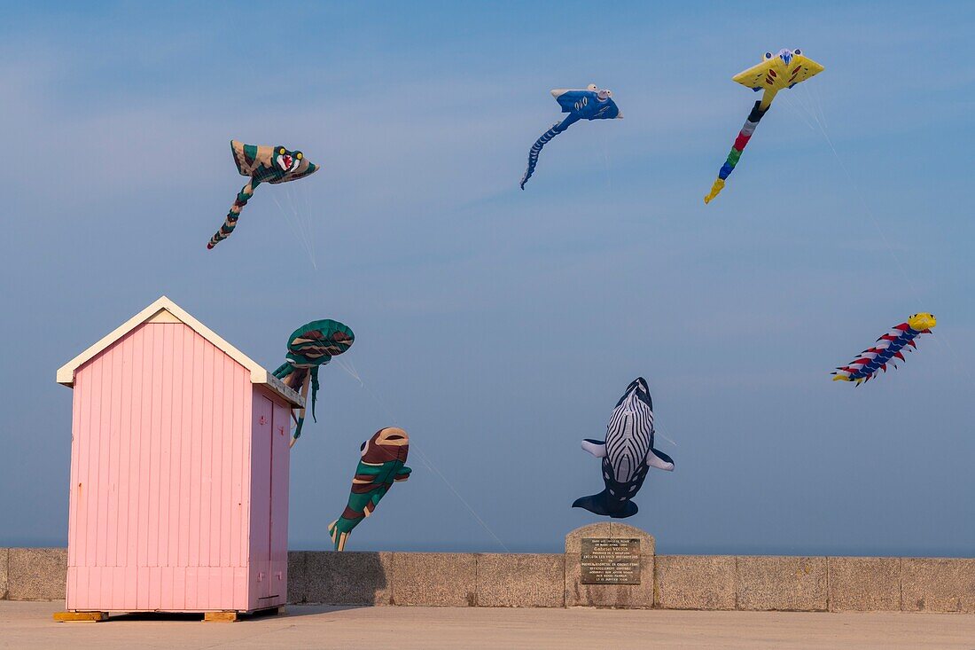 France, Pas de Calais, Opale Coast, Berck sur Mer, Berck sur Mer International Kite Meetings, during 9 days the city welcomes 500 kites from all over the world for one of the most important kite events in the world