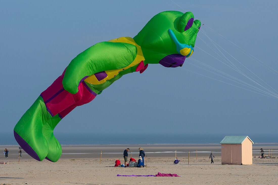 France, Pas de Calais, Opale Coast, Berck sur Mer, Berck sur Mer International Kite Meetings, during 9 days the city welcomes 500 kites from all over the world for one of the most important kite events in the world