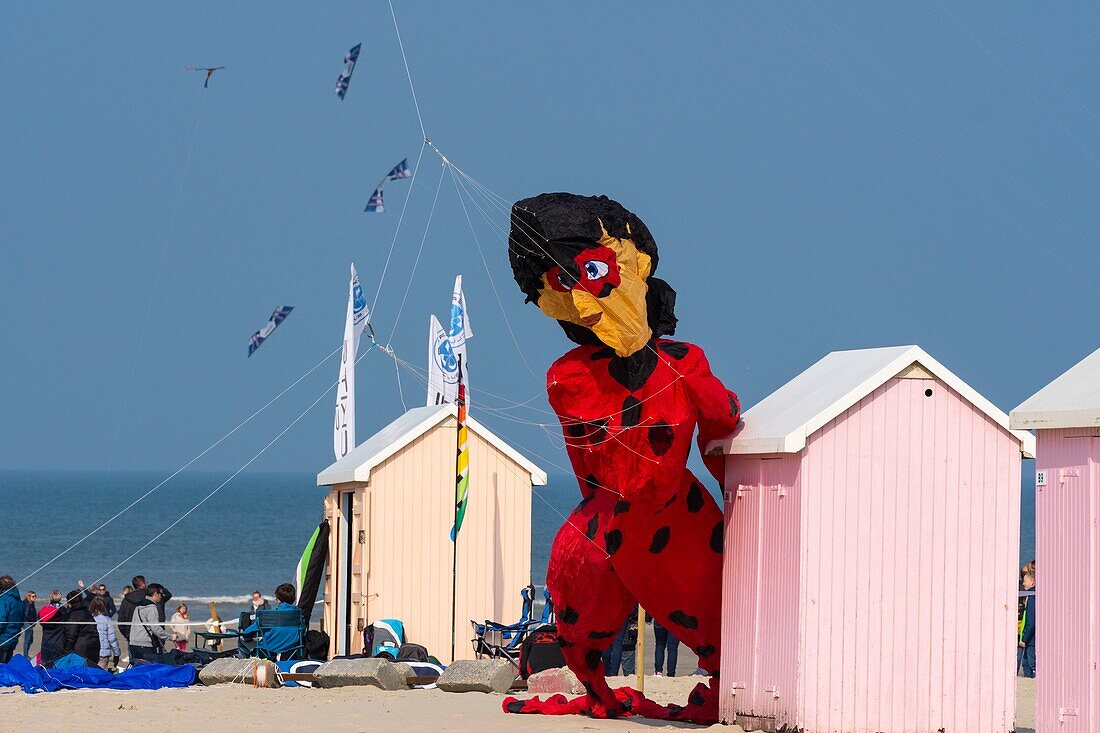 France, Pas de Calais, Opale Coast, Berck sur Mer, Berck sur Mer International Kite Meetings, during 9 days the city welcomes 500 kites from all over the world for one of the most important kite events in the world