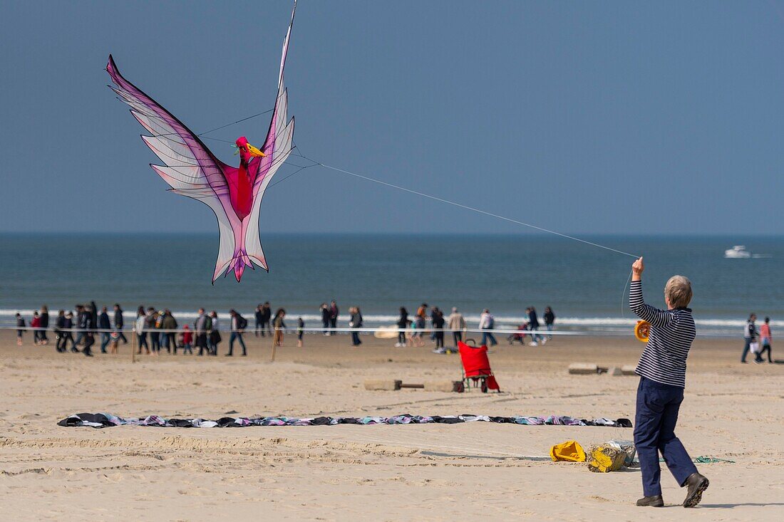 France, Pas de Calais, Opale Coast, Berck sur Mer, Berck sur Mer International Kite Meetings, during 9 days the city welcomes 500 kites from all over the world for one of the most important kite events in the world