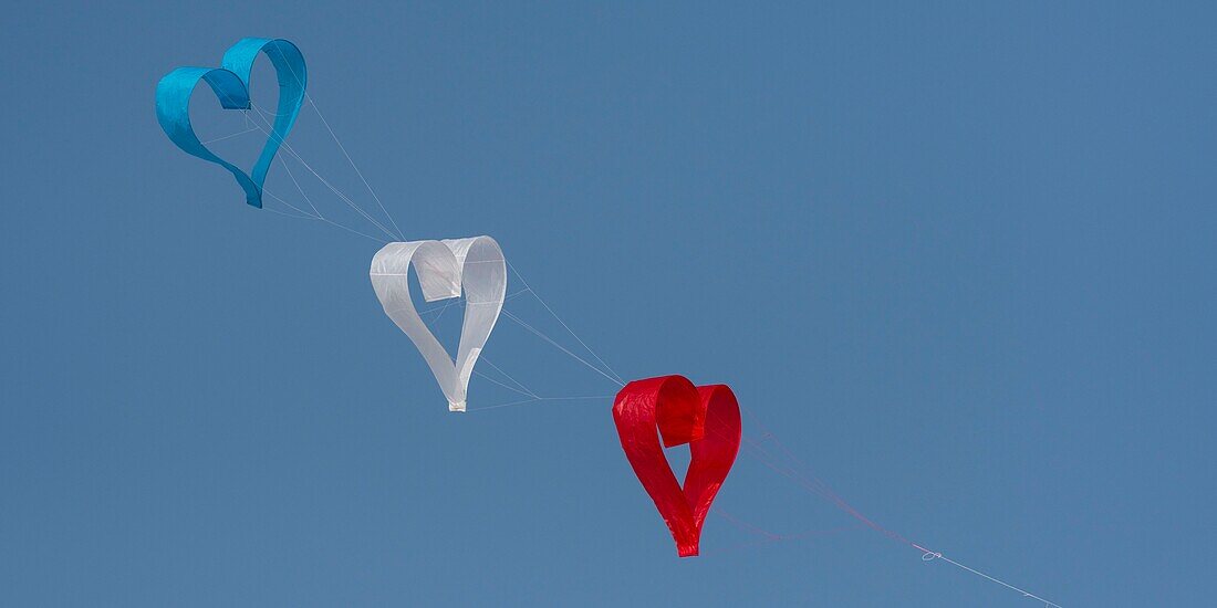 France, Pas de Calais, Opale Coast, Berck sur Mer, Berck sur Mer International Kite Meetings, during 9 days the city welcomes 500 kites from all over the world for one of the most important kite events in the world