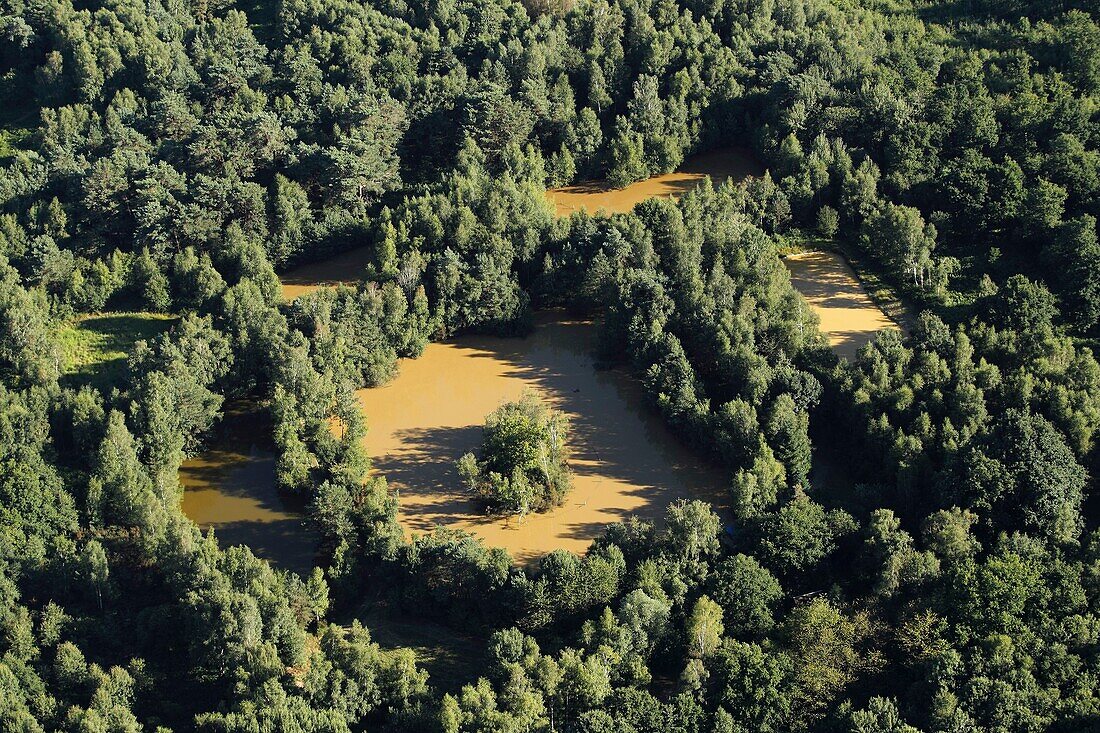 Frankreich, Indre et Loire, Loire-Tal, das von der UNESCO zum Weltkulturerbe erklärt wurde, Amboise, Amboise-Wald, verschiedenfarbige Teiche im Wald von Amboise (Luftaufnahme)