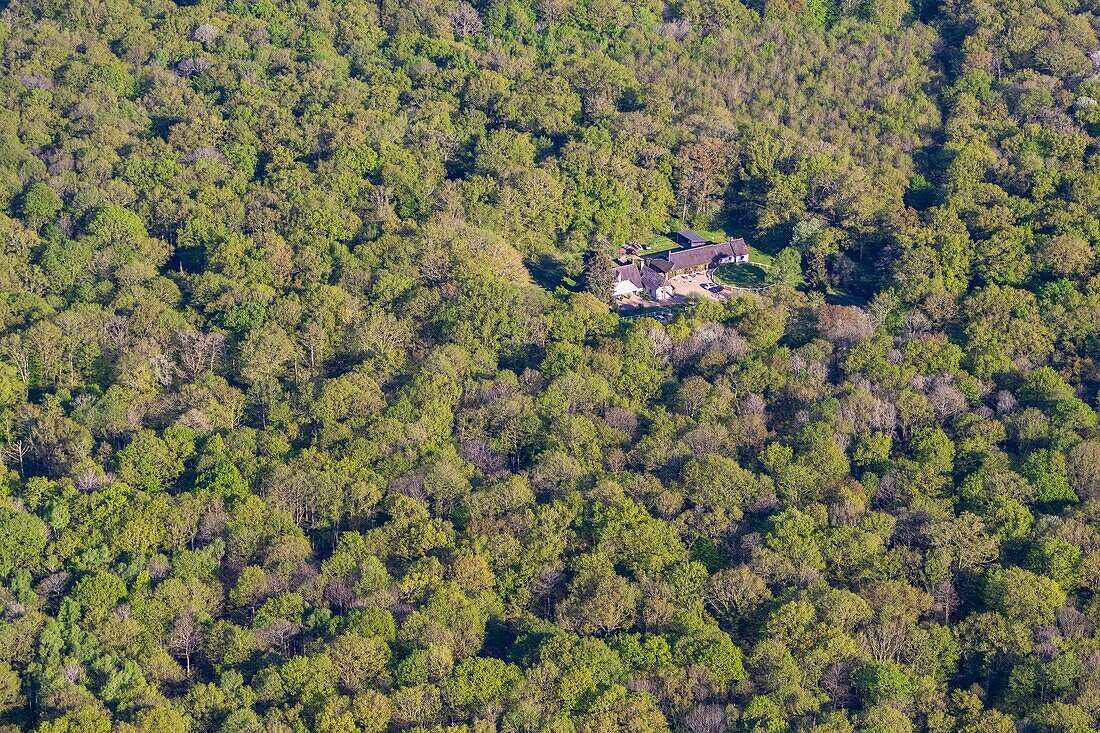 Frankreich, Indre et Loire, Loire-Tal als Weltkulturerbe der UNESCO, Amboise, Wald von Amboise (Luftaufnahme)