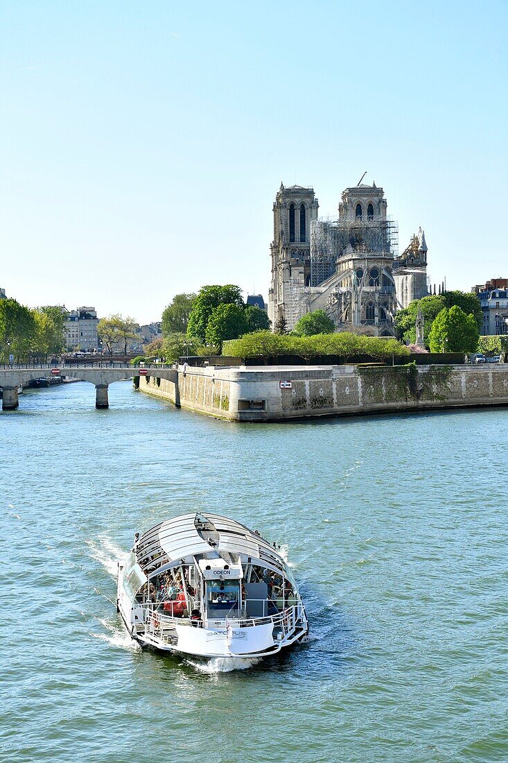 Frankreich, Paris, Seine-Ufer, von der UNESCO zum Weltkulturerbe erklärt, Kathedrale Notre Dame, Ile de la Cite