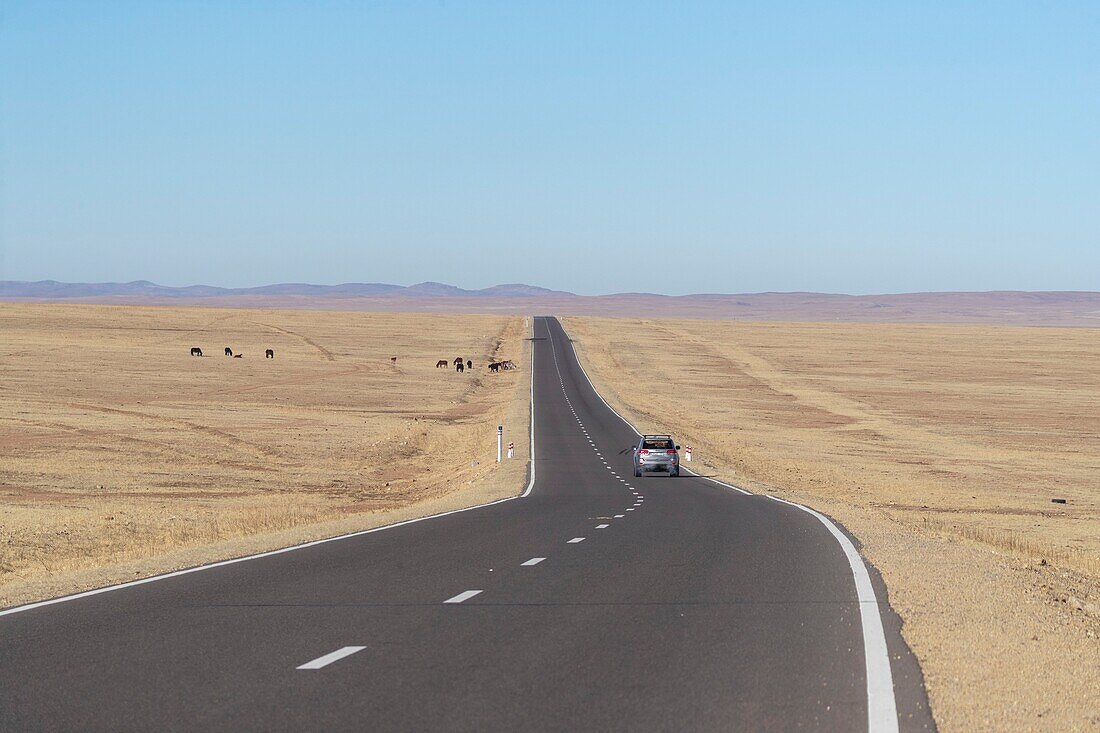 Mongolei, Ostmongolei, Steppengebiet, Landschaft, hügelig, Straße in freier Natur