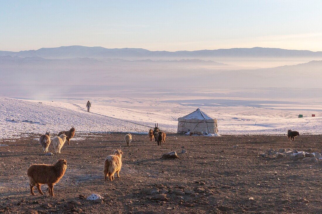 Mongolei, Westmongolei, Altaigebirge, Tal mit Schnee und Felsen, Schafstall, Jurte im Schnee, Ziegen- und Schafzucht