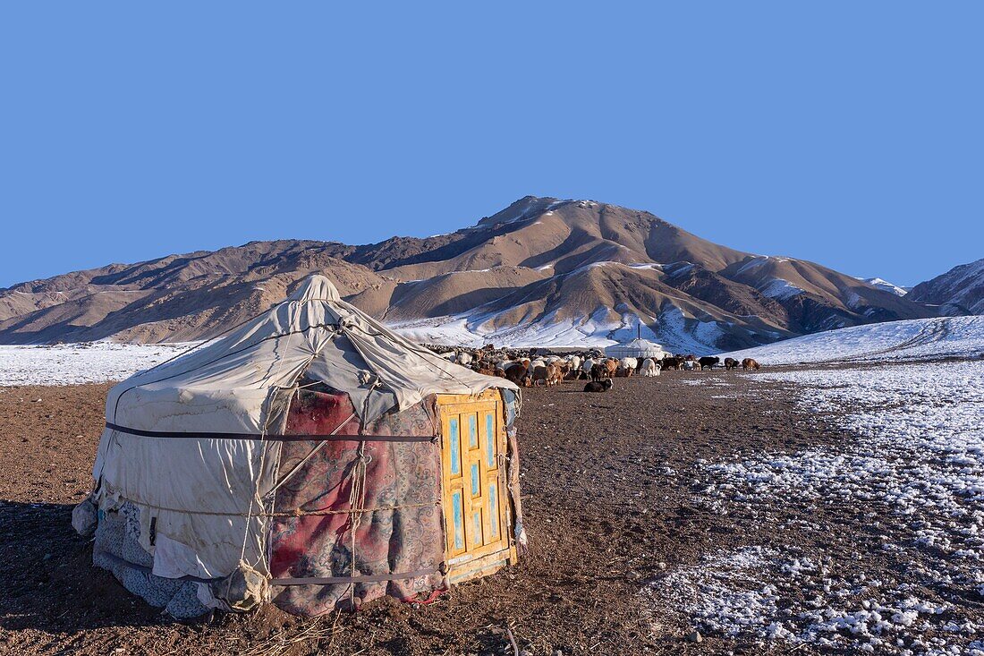 Mongolia, West Mongolia, Altai mountains, Valley with snow and rocks, Sheepfold, Yurt in the snow, goat and sheep farming