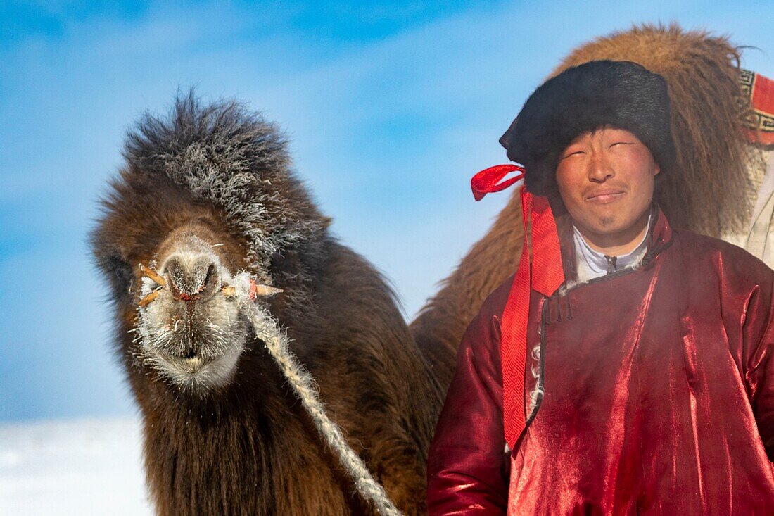 Mongolei, Westmongolei, Altai-Gebirge, Dorf Kanhman, baktrisches Kamelrennen in der Ebene