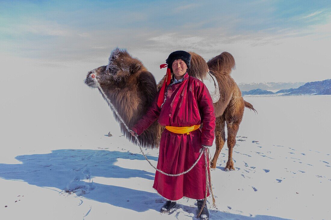 Mongolia, West Mongolia, Altai mountains, Kanhman village, Bactrian camel race in the plain