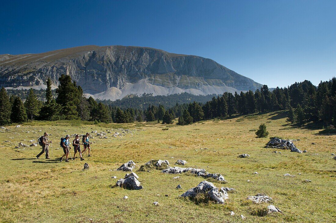 Frankreich, Drome, Regionaler Naturpark Vercors, Wanderung im Naturpark Vercors-Hochland zur großen Hütte und dem Grand Veymont