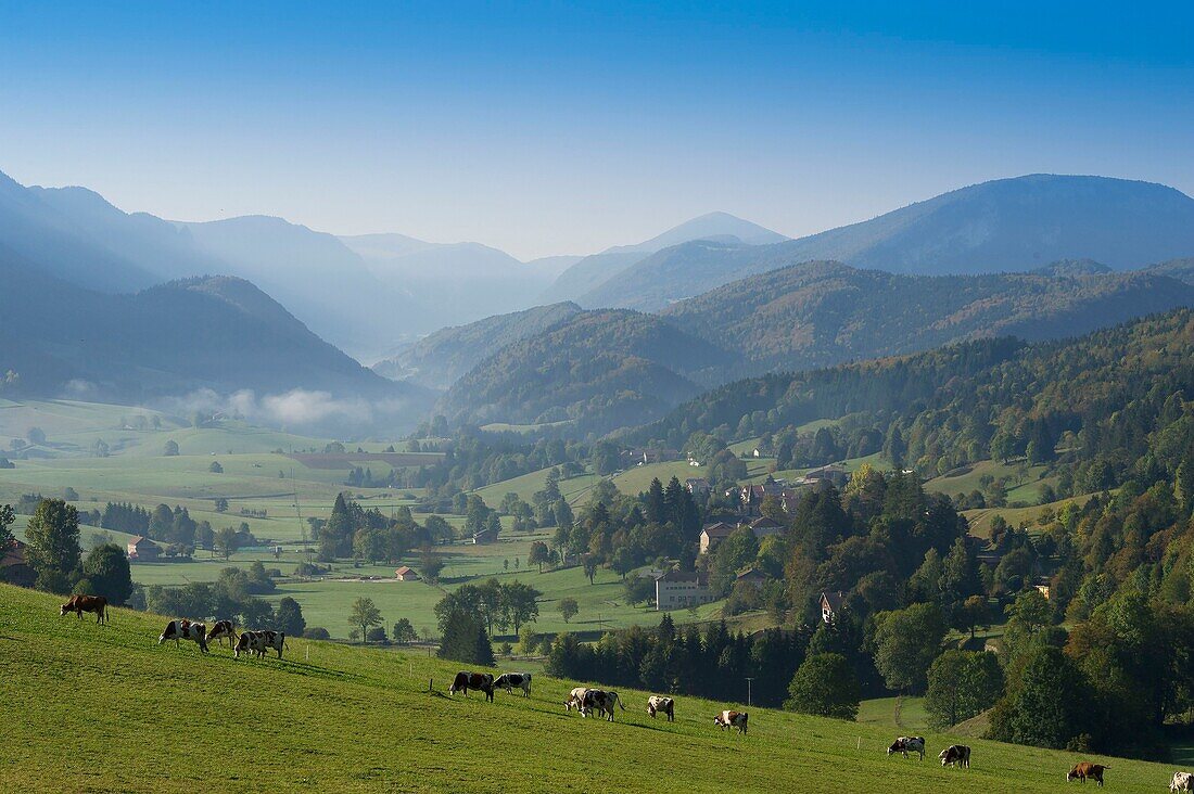 Frankreich, Drome, Massif du Vercors, Regionaler Naturpark, die Ebene von Saint Martin en Vercors