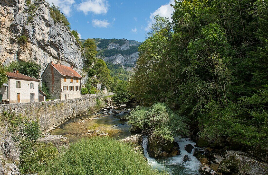 France, Isere, Massif du Vercors, Regional Natural Park the Choranchesvalley defile des Chartreux and the torrent de la Bourne