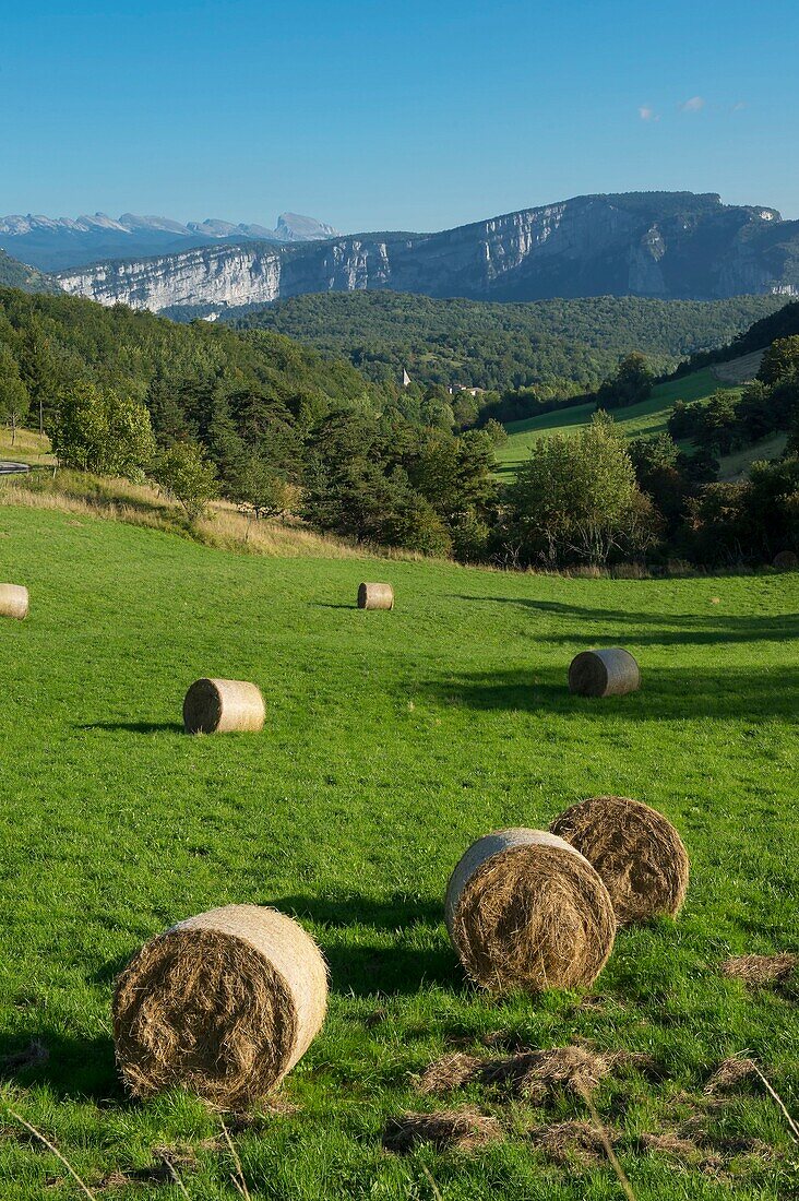 France, Isere, Massif du Vercors, Regional Natural Park, hay bales in the meadow above Presles, at the bottom the summits of the nature reserve