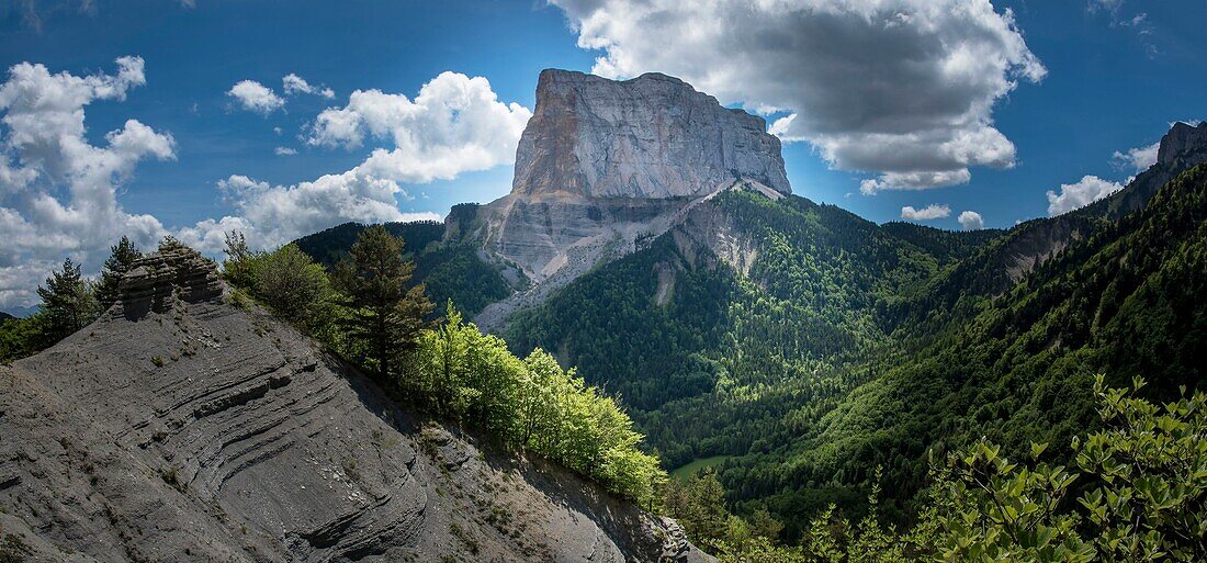 France, Drome, Vercors Regional Nature Park, Gresse en Vercors, hike to the Grand Veymont, highest peak of the massif, back by the peak of Brisou and panoramic view of Mount Aiguille