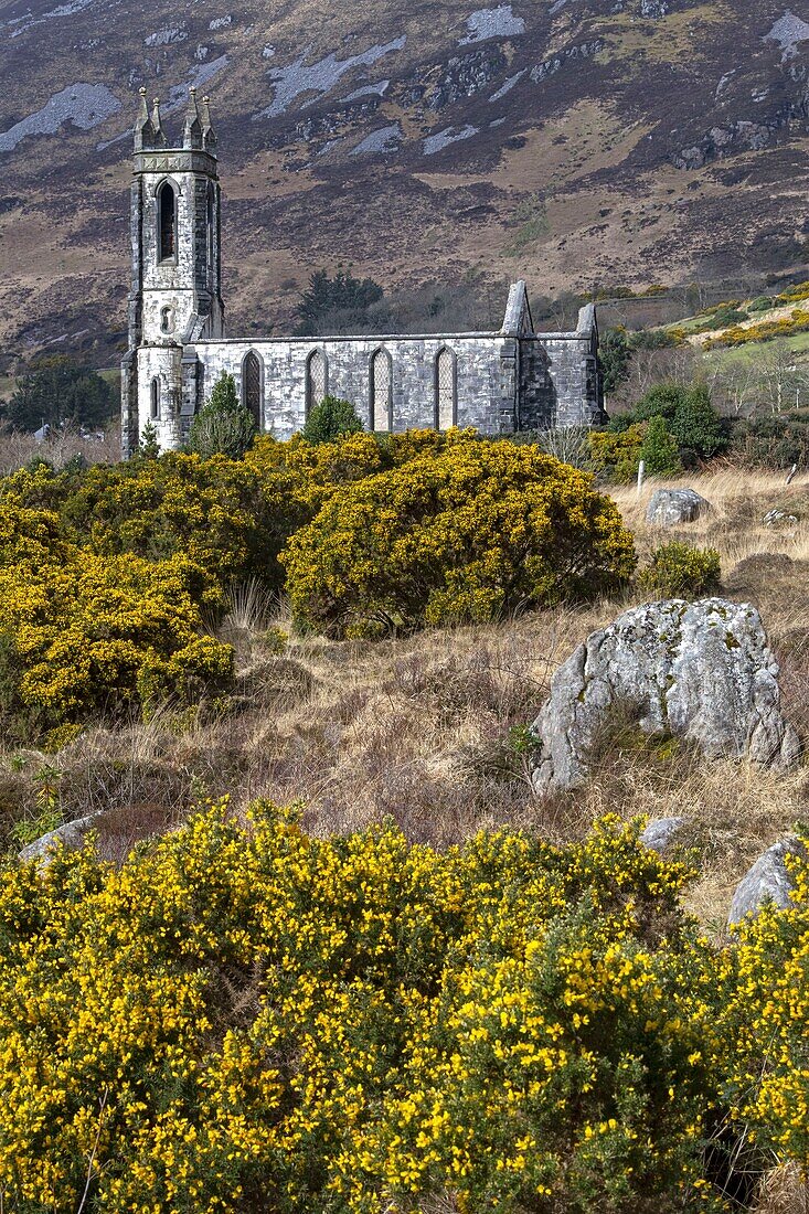 Irland, Grafschaft Donegal, Dunlewy, die 1840 verlassene Kirche am Fuß des Mount Erigal im Glenveagh-Nationalpark
