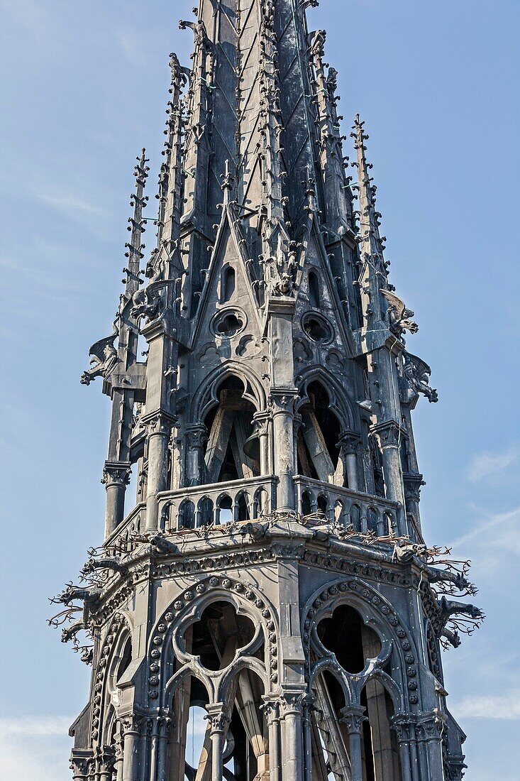 Frankreich, Paris, Weltkulturerbe der UNESCO, Kathedrale Notre-Dame auf der Stadtinsel, die Turmspitze