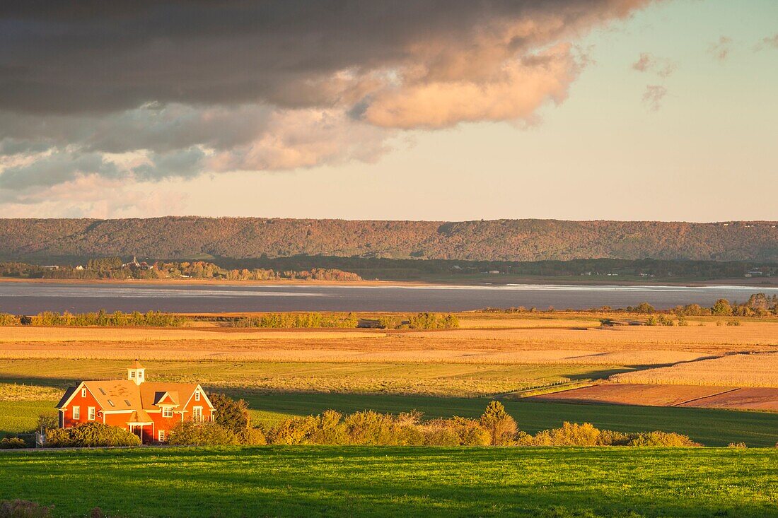 Canada, Nova Scotia, Annapolis Valley, Grand Pre, farm, dawn