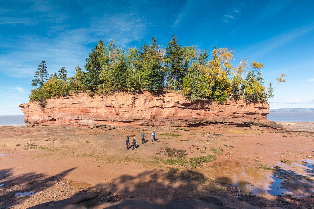 Kanada, Neuschottland, Minasville, Burncoat Head Park am Minas Basin, kleine Insel bei Ebbe