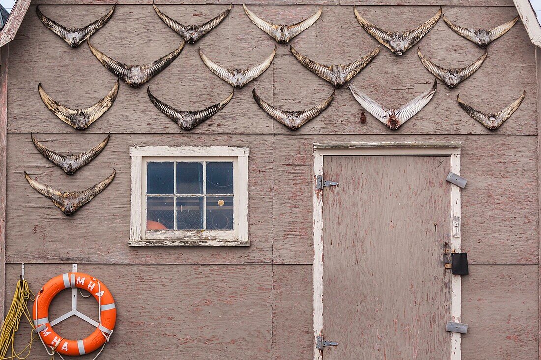 Canada, Prince Edward Island, Malpeque, fishing shack