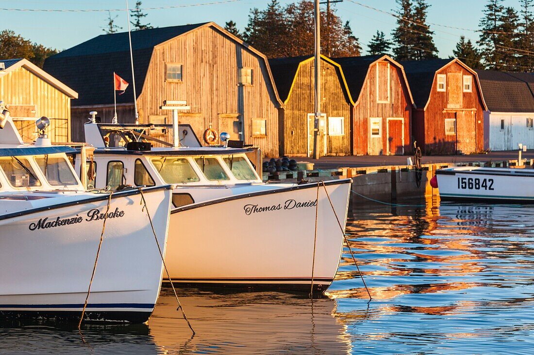 Canada, Prince Edward Island, Malpeque, small fishing harbor, dawn