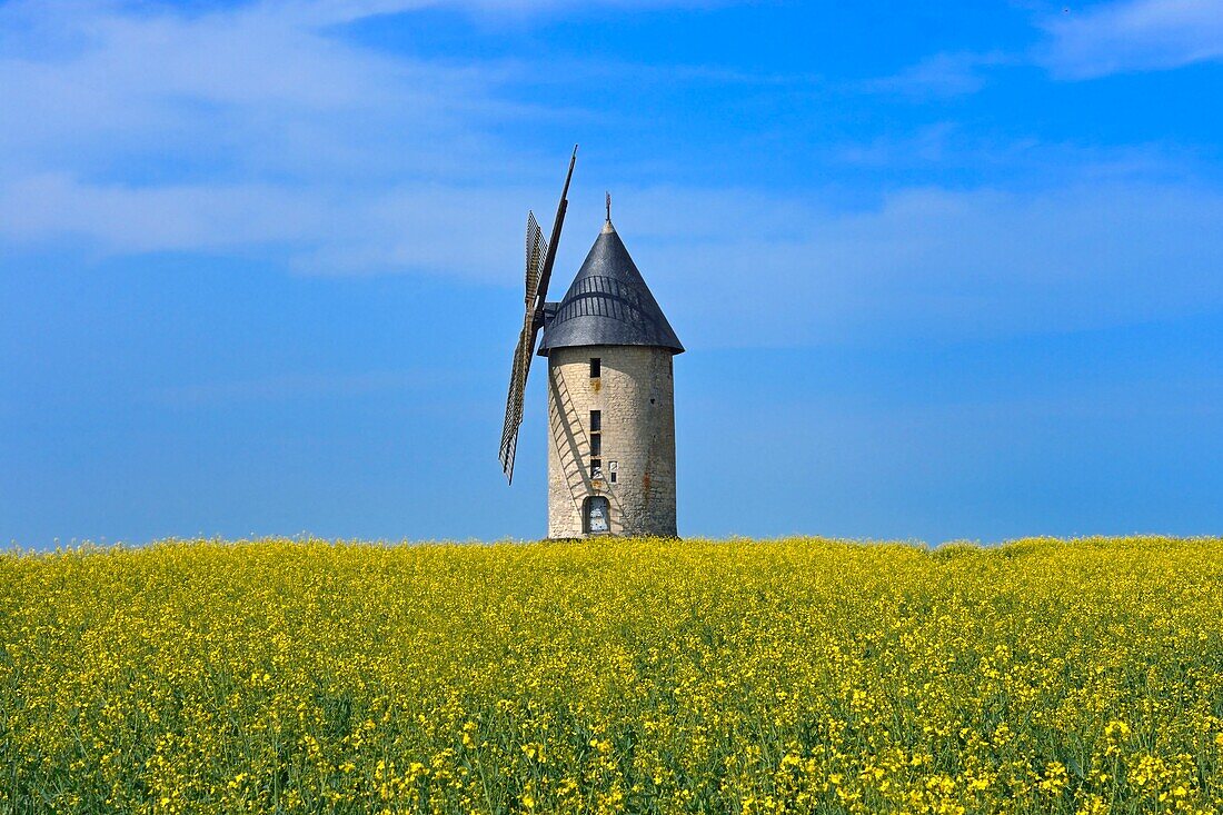 Frankreich, Aisne, Largny-sur-Automne, die Windmühle von Wallu und das Rapsfeld