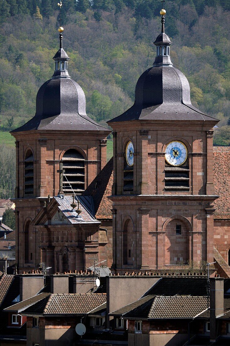 France, Vosges, Saint Die des Vosges, Jean Mansuy Park, from the tower of Liberty, the cathedral, towers